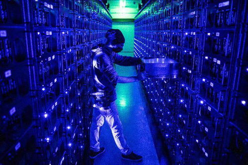 Mining Farm Setup