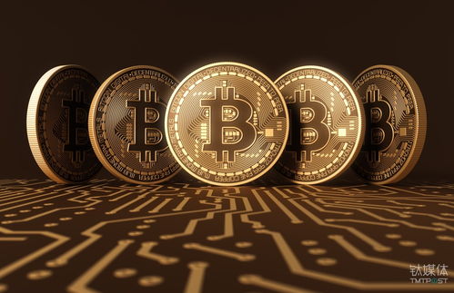 Visualizing Bitcoin mining profitability through earnings calculators
